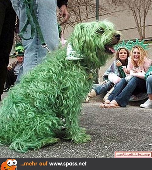 Der grüne Hund Lustige Bilder auf