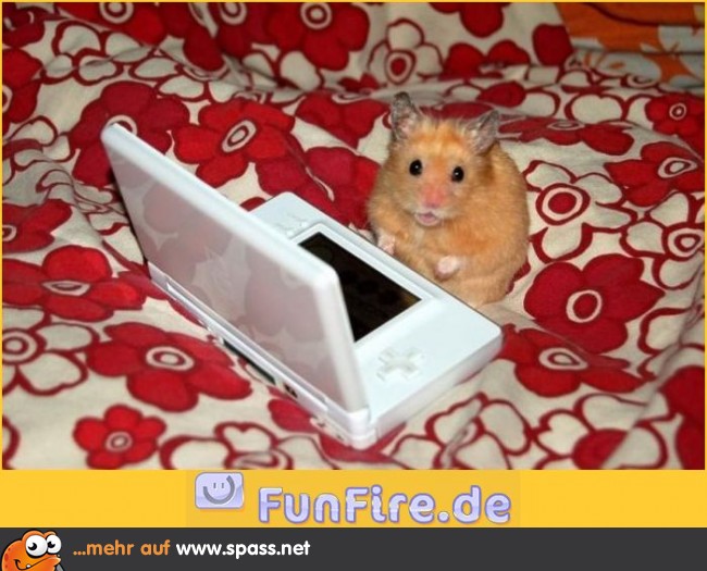 Moderner Hamster Lustige Bilder Auf Spass Net