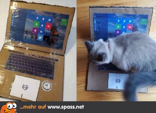 Katzen Notebook Lustige Bilder Auf Spass Net