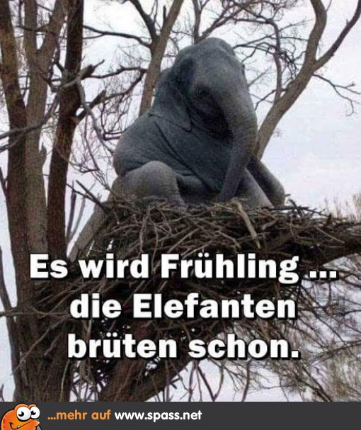 Bilder Frühling Lustig: Zeichne den Frühling mit Spaß!