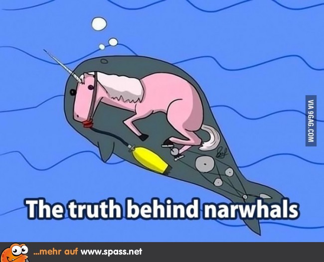 Das ist also des Narwals Kern.