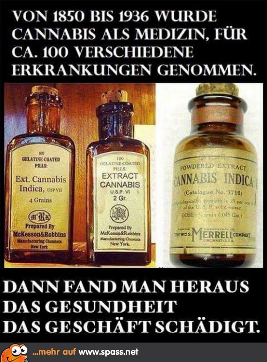 cannabis lustige bilder