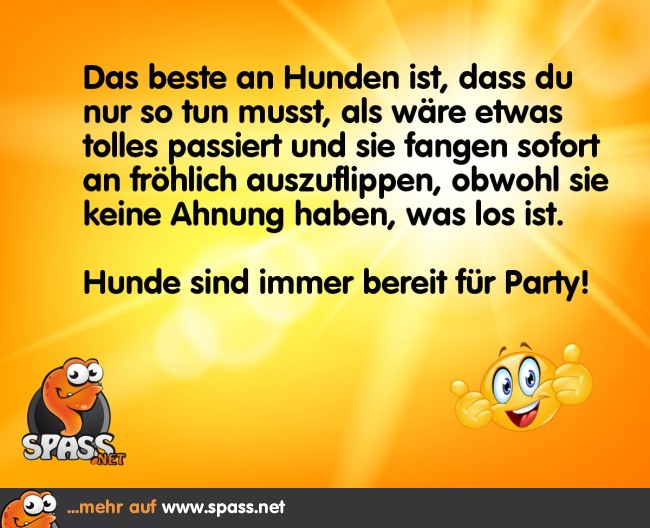 Immer bereit für eine Party | Lustige Bilder auf Spass.net